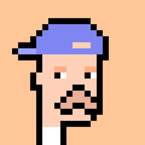 icp_punks: 2787