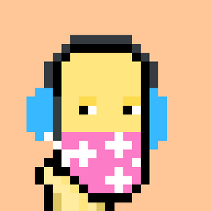 icp_punks: 2509