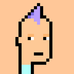 icp_punks: 8897
